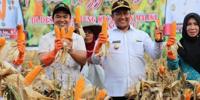 Jagung dan Kedelai
