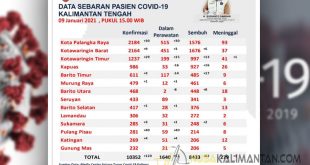 Data Covid-19 Pulang Pisau