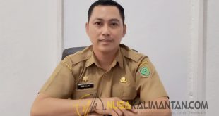 Disbudpar