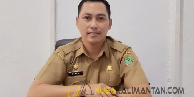 Disbudpar