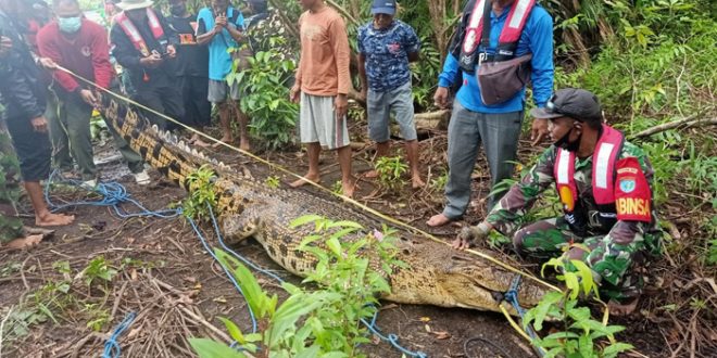 Buaya yang Tertangkap