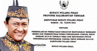 Bupati Pulpis