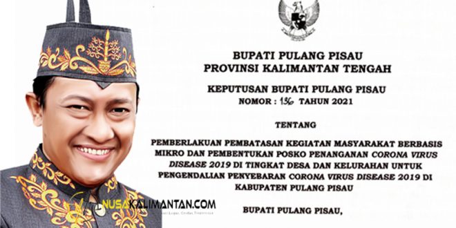 Bupati Pulpis