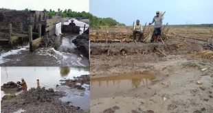 Banjir ROB
