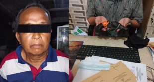 Pencuri Sawit