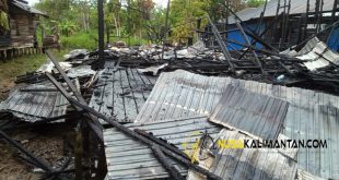 Terbakar