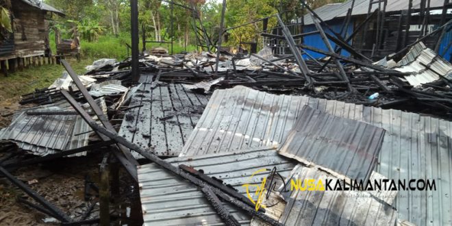 Terbakar
