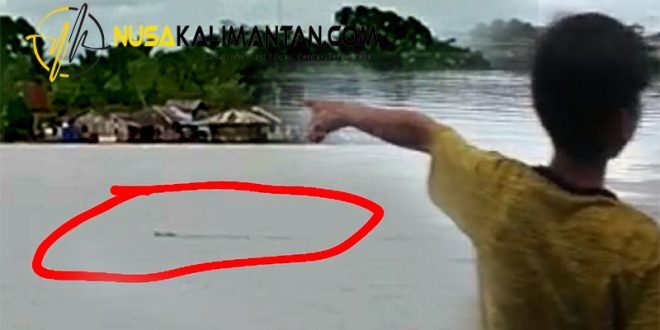 Penampakan