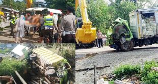 Tabrak Truk Sengon