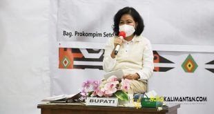Plt Bupati