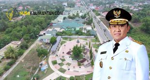 Optimis