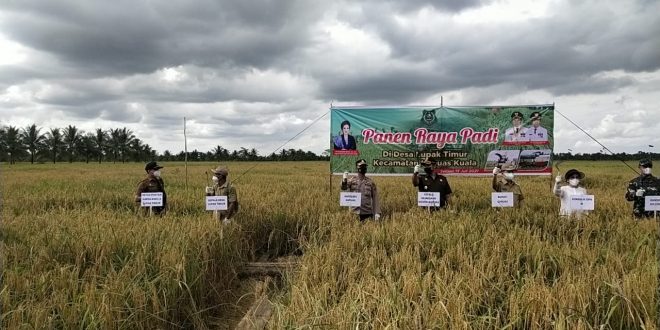 Panen Raya