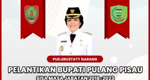 Pelantikan