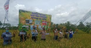 Terobosan Budidaya