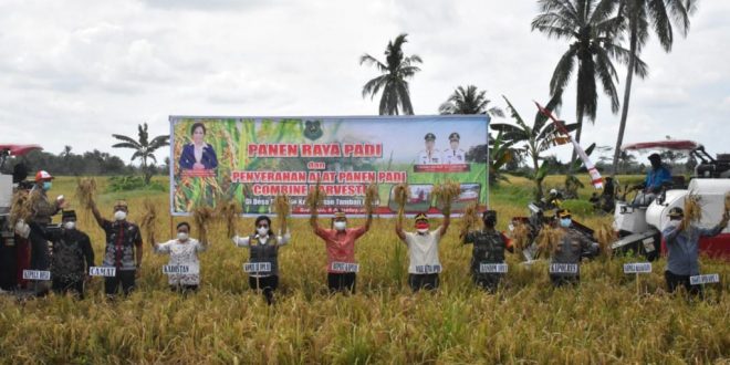 Panen Raya
