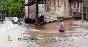 Dinsos Pulpis Siap