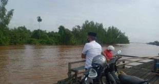 Konservasi Bekantan