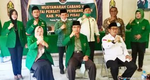 PPP Pulpis
