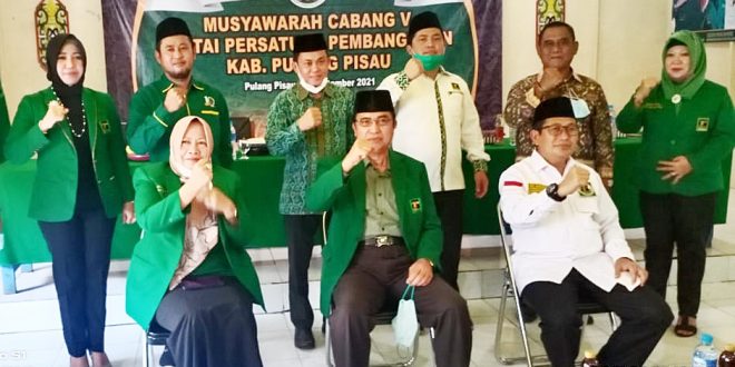 PPP Pulpis