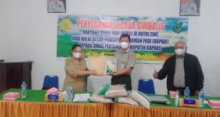 Bibit