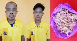 Dua Spesialis