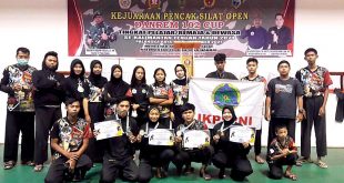 Satria Nurul Iman