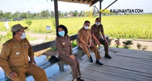 Taty Narang : Food Estate
