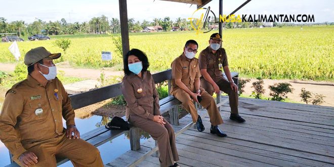 Taty Narang : Food Estate