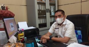 BPPKAD Pulpis