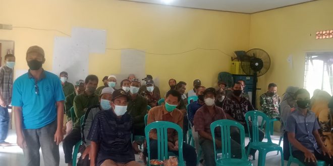 Sosialisasi