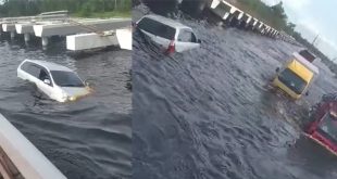 Nekat Terobos Banjir