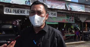 Banir Mulai Masuk