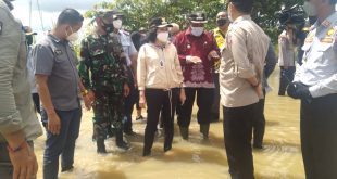 Taty Narang Pemerintah Daerah