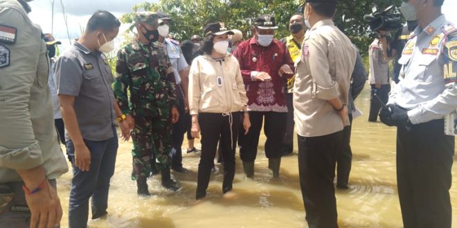 Taty Narang Pemerintah Daerah