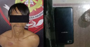 Pelaku Curat
