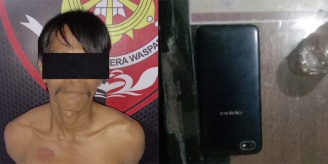 Pelaku Curat