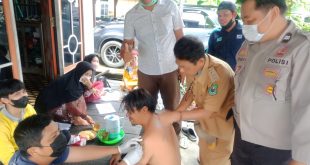 Ciptakan