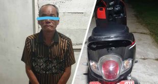 Pelaku Curat