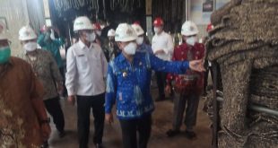 Bupati Bartim