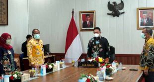 Wagub Edy Hadiri