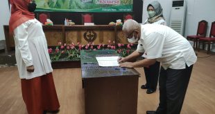Jabatan Kadis TPHP