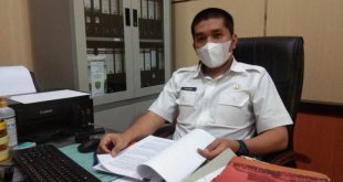 BPPKAD Pulpis