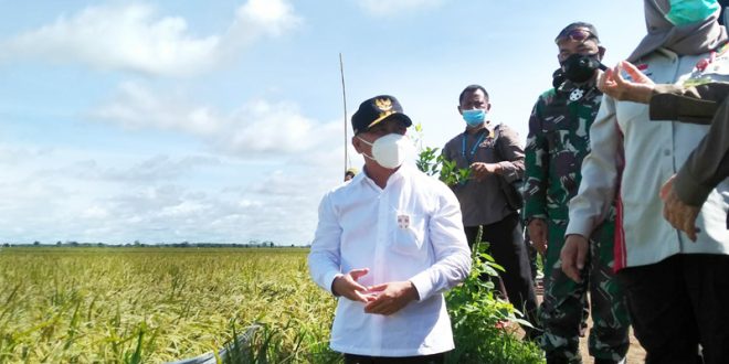 Gubernur Kalteng