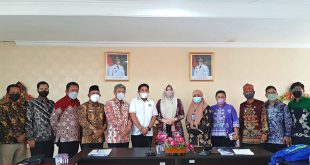Disbudpar