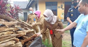 Disdagperin Kalteng