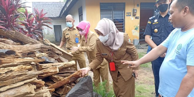 Disdagperin Kalteng