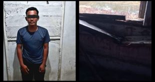 Pelaku Curat