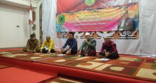KBB Pulpis