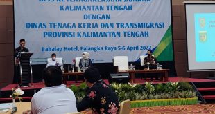 Optimalisasi