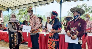 Bikin Bangga